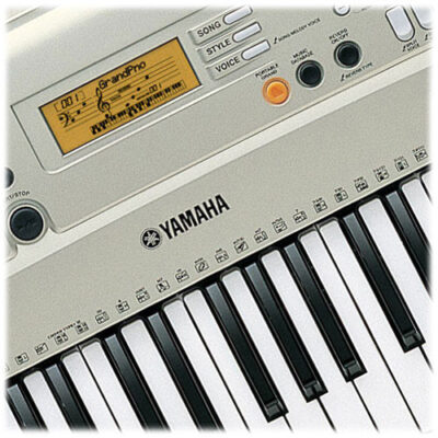 Đàn organ Yamaha PSR-E313