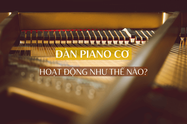 dan-piano-co-hoat-dong-nhu-the-nao