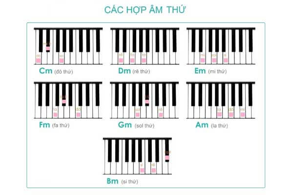 hop am piano thu co ban