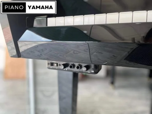 Yamaha DGP-7