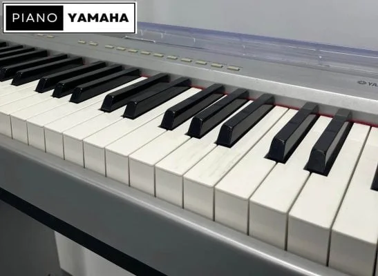 Yamaha P85